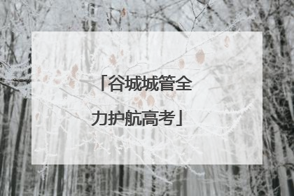 谷城城管全力护航高考