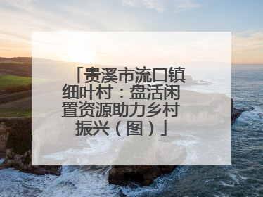贵溪市流口镇细叶村：盘活闲置资源助力乡村振兴（图）