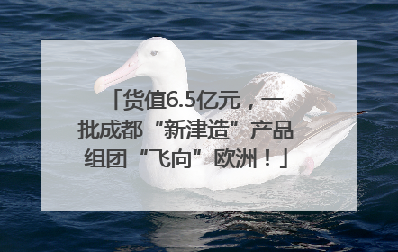 货值6.5亿元，一批成都“新津造”产品组团“飞向”欧洲！