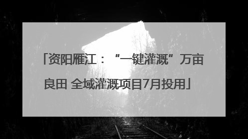 资阳雁江：“一键灌溉”万亩良田 全域灌溉项目7月投用