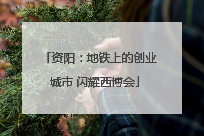 资阳：地铁上的创业城市 闪耀西博会