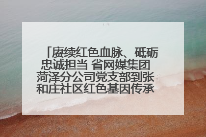 赓续红色血脉、砥砺忠诚担当 省网媒集团菏泽分公司党支部到张和庄社区红色基因传承馆开展主题党日活动
