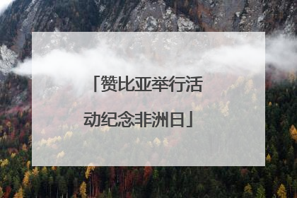 赞比亚举行活动纪念非洲日