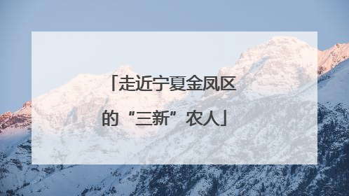 走近宁夏金凤区的“三新”农人