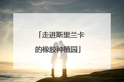 走进斯里兰卡的橡胶种植园