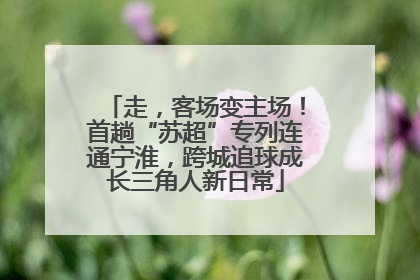 走，客场变主场！首趟“苏超”专列连通宁淮，跨城追球成长三角人新日常