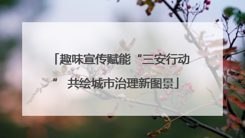 趣味宣传赋能“三安行动” 共绘城市治理新图景