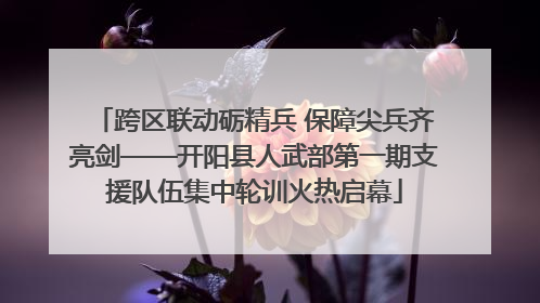 跨区联动砺精兵 保障尖兵齐亮剑——开阳县人武部第一期支援队伍集中轮训火热启幕
