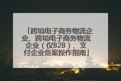 跨境电子商务物流企业、跨境电子商务物流企业（仅B2B）、支付企业备案操作指南