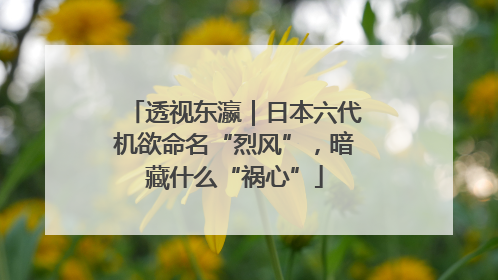 透视东瀛｜日本六代机欲命名“烈风”，暗藏什么“祸心”