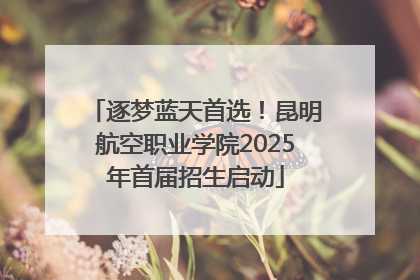 逐梦蓝天首选！昆明航空职业学院2025年首届招生启动