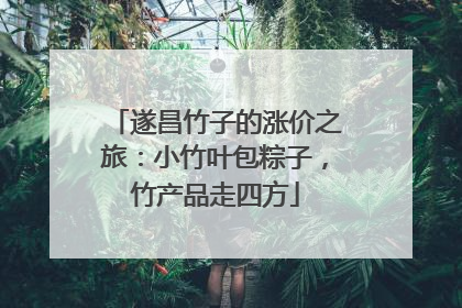 遂昌竹子的涨价之旅：小竹叶包粽子，竹产品走四方