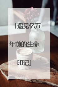 遇见亿万年前的生命印记