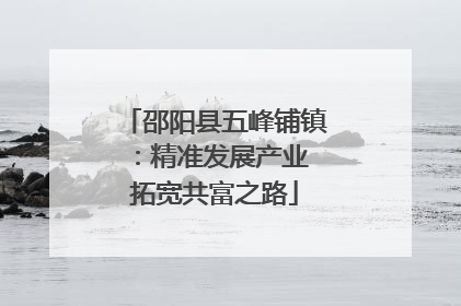 邵阳县五峰铺镇：精准发展产业 拓宽共富之路