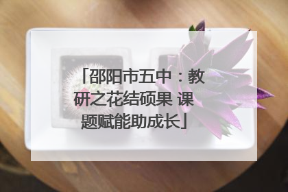 邵阳市五中：教研之花结硕果 课题赋能助成长
