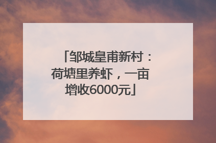 邹城皇甫新村：荷塘里养虾，一亩增收6000元