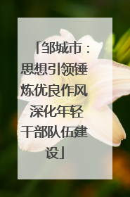 邹城市：思想引领锤炼优良作风 深化年轻干部队伍建设