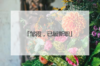 邹霞，已履新职