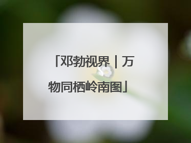 邓勃视界｜万物同栖岭南图
