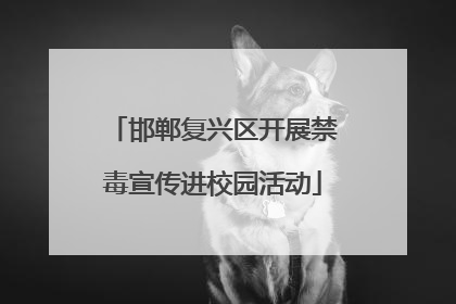 邯郸复兴区开展禁毒宣传进校园活动