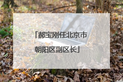 郝宝刚任北京市朝阳区副区长