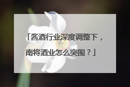 酱酒行业深度调整下，南将酒业怎么突围？