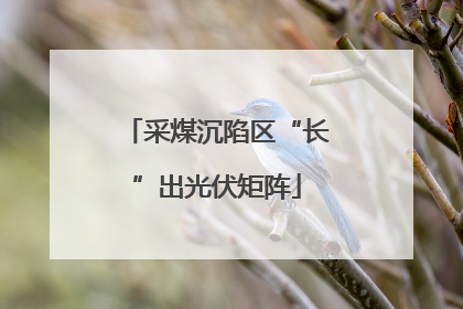 采煤沉陷区“长”出光伏矩阵