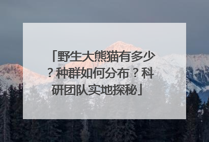 野生大熊猫有多少？种群如何分布？科研团队实地探秘