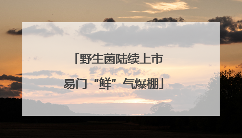 野生菌陆续上市 易门“鲜”气爆棚