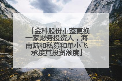 金科股份重整更换一家财务投资人，海南陆和私募和单小飞承接其投资额度