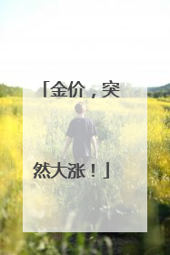 金价，突然大涨！