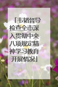 韦韬督导检查全市深入贯彻中央八项规定精神学习教育开展情况