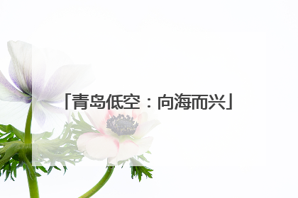 青岛低空：向海而兴