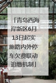 青岛西海岸新区6月13日起实施路内外停车欠费联动追缴机制