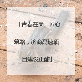 青春在岗、匠心筑路，济商高速项目建设正酣