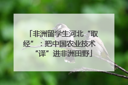 非洲留学生河北“取经”：把中国农业技术“译”进非洲田野