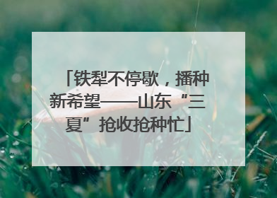 铁犁不停歇，播种新希望——山东“三夏”抢收抢种忙