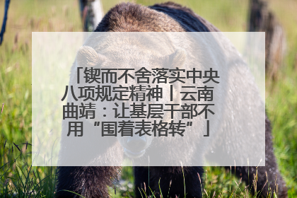 锲而不舍落实中央八项规定精神丨云南曲靖：让基层干部不用“围着表格转”