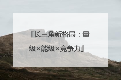 长三角新格局：量级×能级×竞争力