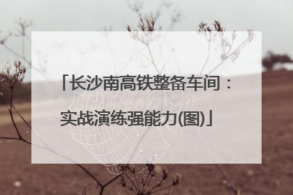 长沙南高铁整备车间：实战演练强能力(图)