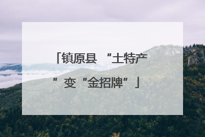 镇原县 “土特产”变“金招牌”