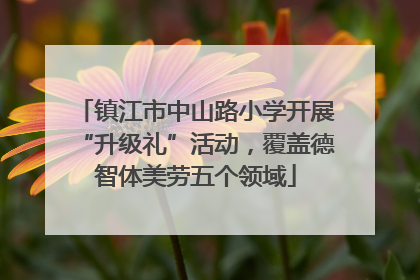 镇江市中山路小学开展“升级礼”活动，覆盖德智体美劳五个领域