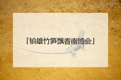 镇雄竹笋飘香南博会