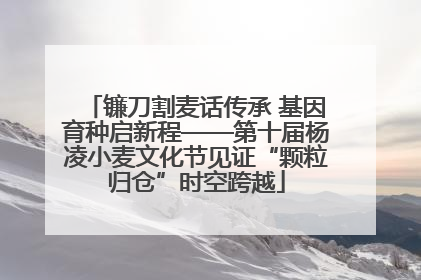 镰刀割麦话传承 基因育种启新程——第十届杨凌小麦文化节见证“颗粒归仓”时空跨越