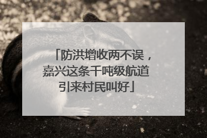 防洪增收两不误，嘉兴这条千吨级航道引来村民叫好