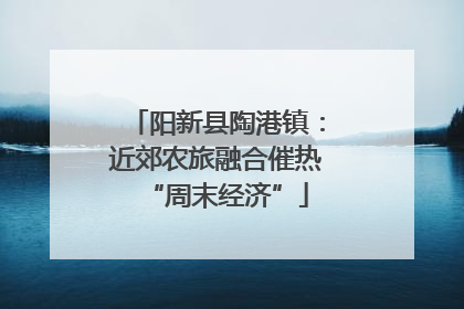 阳新县陶港镇：近郊农旅融合催热“周末经济”