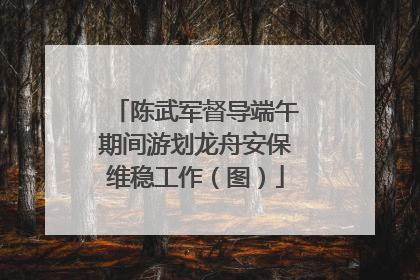 陈武军督导端午期间游划龙舟安保维稳工作（图）