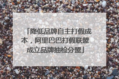 降低品牌自主打假成本，阿里巴巴打假联盟成立品牌抽检分盟