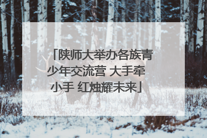陕师大举办各族青少年交流营 大手牵小手 红烛耀未来
