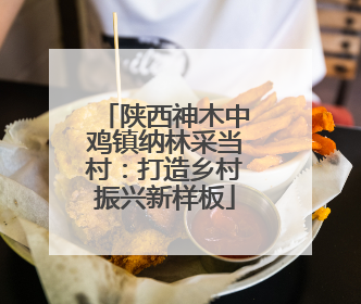 陕西神木中鸡镇纳林采当村：打造乡村振兴新样板